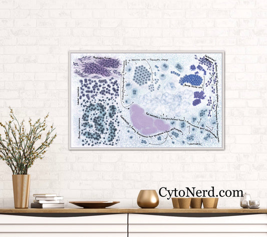 Cells poster, Breast Cytology Poster, breast cancer, colorful Cytology cells Art print