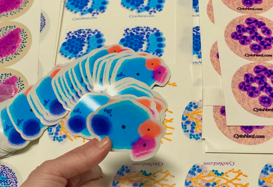 Benign Squamous Cells Stickers