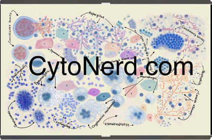 Lung benign Cells Poster, pulmonary Art Print, colorful Cytology cells Artwork, Lung infections Morphology