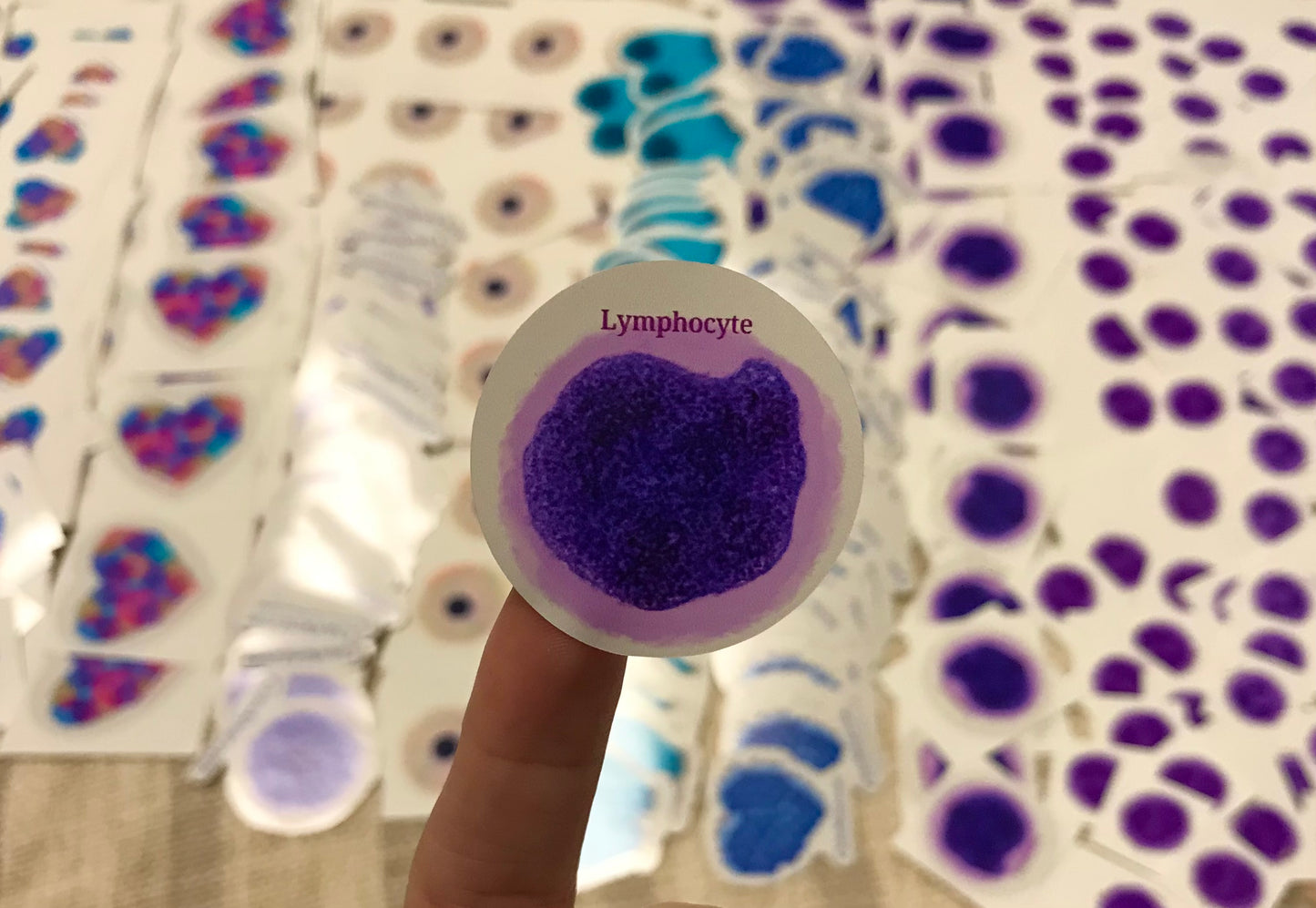 Lymphocyte White blood cells WBC Stickers