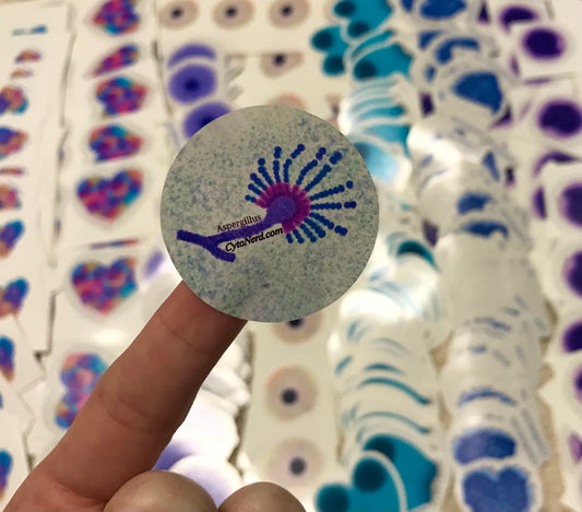 Aspergillus microbes / Fungal Stickers