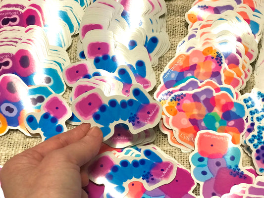 Benign Endocervical EC and Squamous cells Stickers