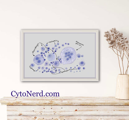 Macrophages Poster, reactive WBC Art print, Cytology cells, White blood cells artwork