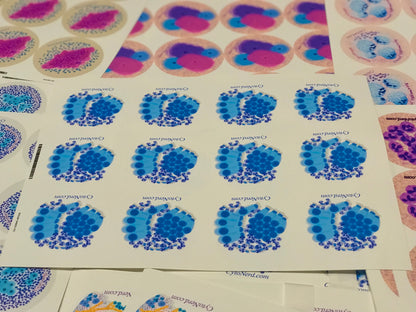 Ciliated Respiratory bronchial Cells Stickers