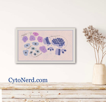 Pap Smear cells- Squamous cells poster, Cells art print, cancer colorful Cytology cells Pathology artwork posters prints