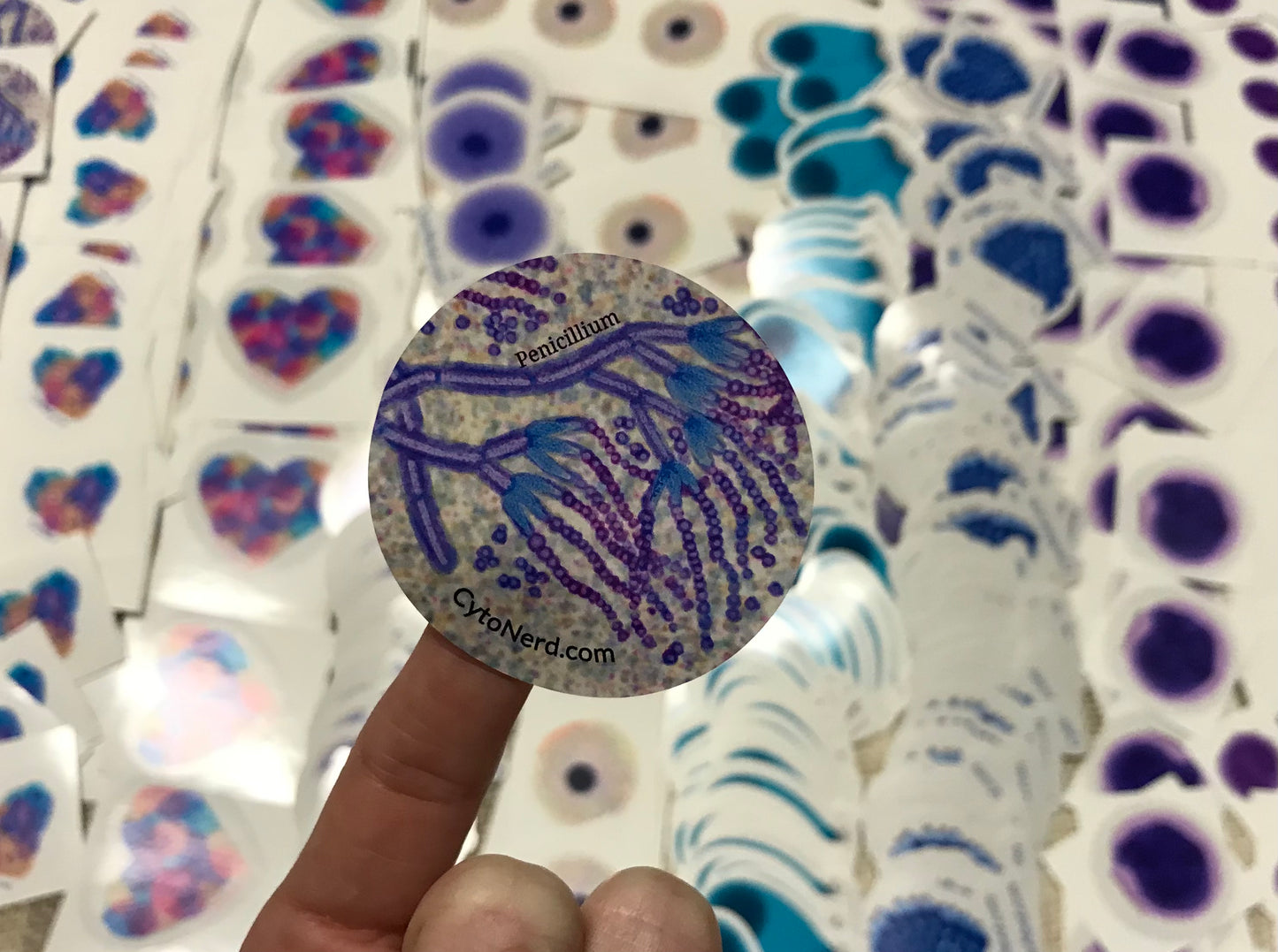 Penicillium fungal Stickers